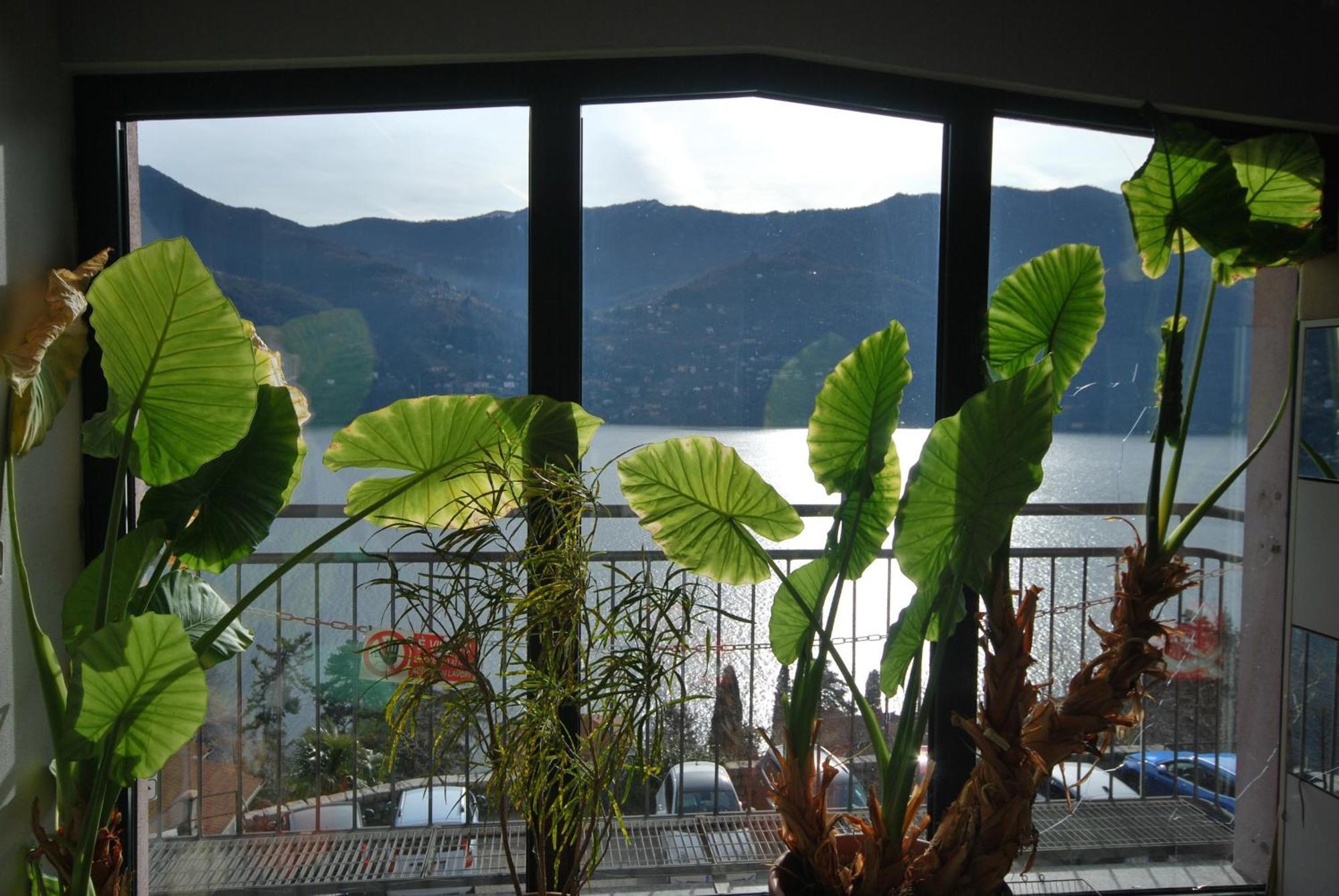 Andrea Olga House Daire Laglio Dış mekan fotoğraf